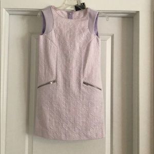 J Crew Lilac Mini